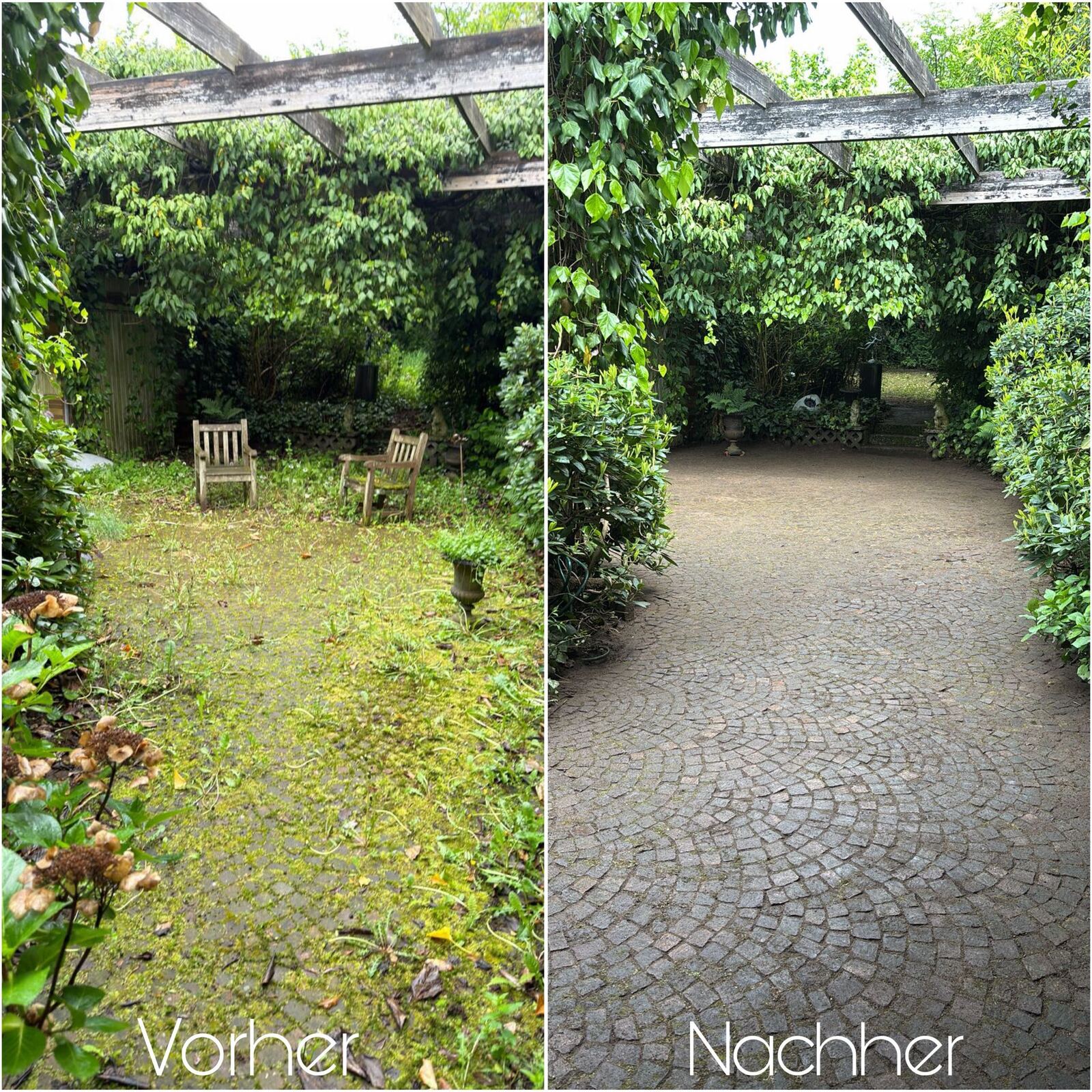 Geschnitten und gereinigt
